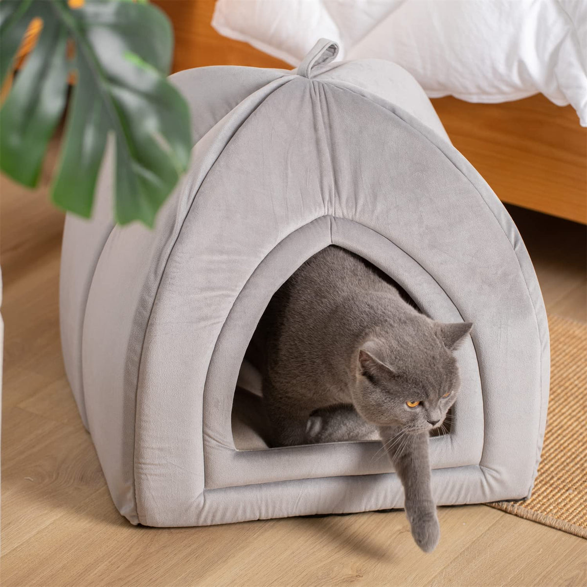 Kasentex Soft Cat Bed - Cozy Pet Bed Cushion