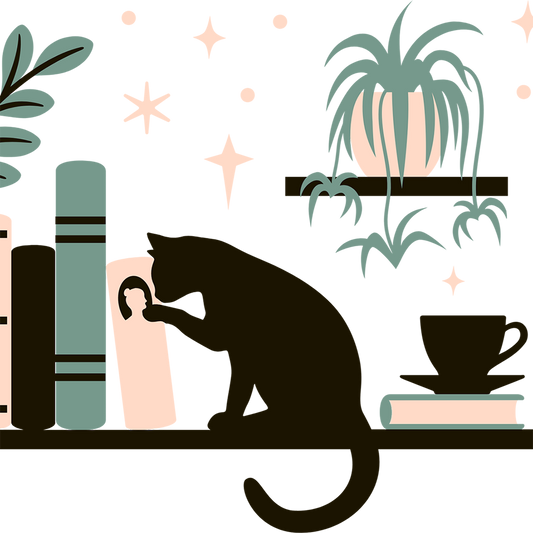 Book Shelves With Kitty and Plants Glass Cups